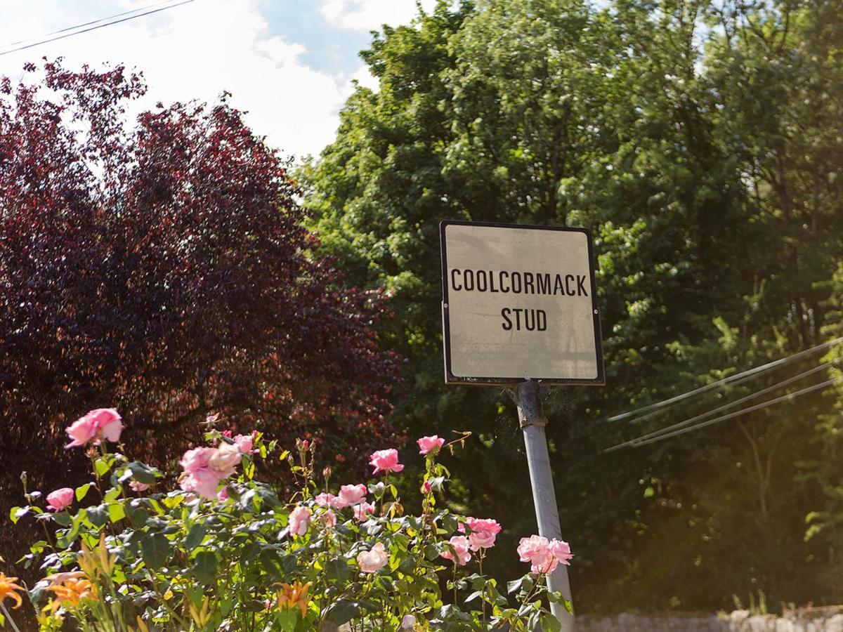 Coolcormack Stud B&B Dungarvan  Exterior foto